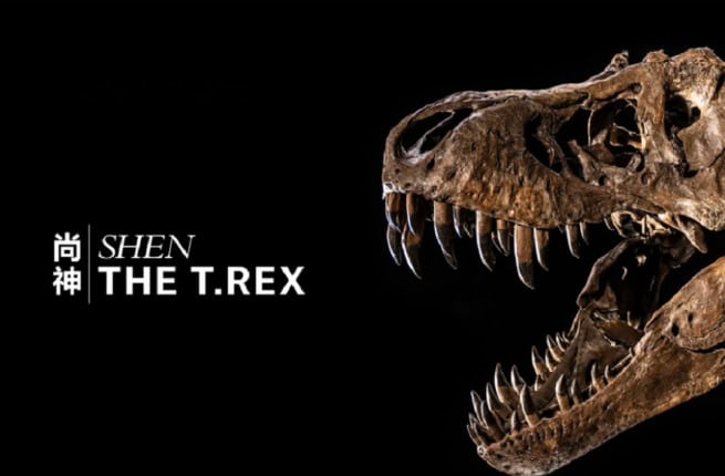 T-Rex skeleton