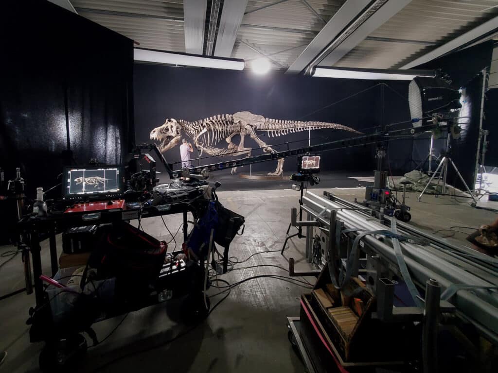 Dinosaur skeleton with film crew in a studio